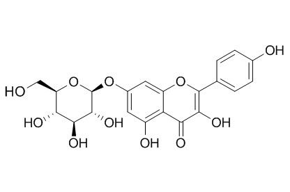 Kaempferol-7-O-β-D-glucopyranoside