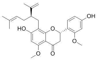 2’-Methoxykurarinone
