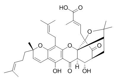 9R-10-alpha-
Hydroxyepigambogic acid