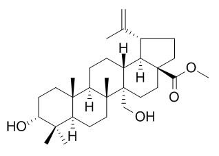 3,27-Dihydroxy-
20(29)-lupen-28-oic acid methyl ester
