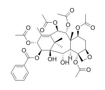 14β-Benzoyloxy-2-deacetylbaccatin VI