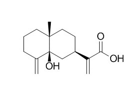 5β-Hydroxycostic acid