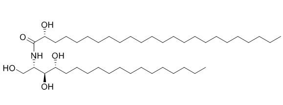2-(2'-Hydroxytetracosanoylamino)-
octadecane-1,3,4-triol
