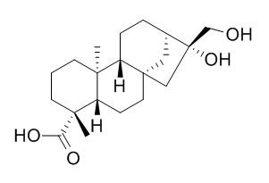 ent-16β,17-Dihydroxykauran-19-oic acid