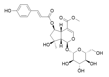 6-O-trans-p-
Coumaroylshanzhiside methyl ester