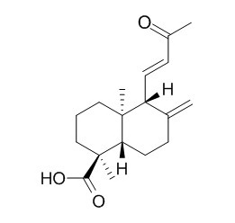 ent-14,15-Dinor-13-
oxolabda-8(17),11-dien-18-oic acid