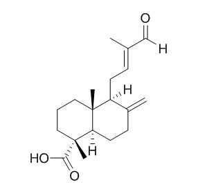 15-Nor-14-
oxolabda-8(17),12-dien-18-oic acid
