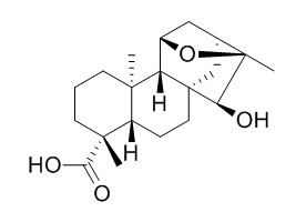 ent-11,16-Epoxy-
15-hydroxykauran-19-oic acid