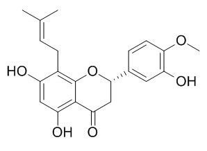 5,7,3'-Trihydroxy-
4'-methoxy-8-prenylflavanone