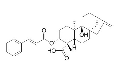 3α-Cinnamoyloxypterokaurene L3