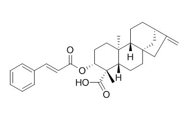 ent-3β-Cinnamoyloxykaur-16-en-19-oic acid