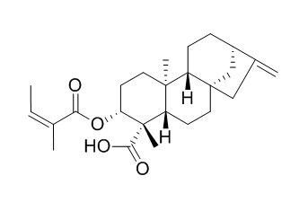 ent-3β-Angeloyloxykaur-16-en-19-oic acid