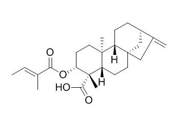 ent-3β-Tigloyloxykaur-16-en-19-oic acid