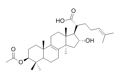 3-O-Acetyl-16 alpha-
hydroxytrametenolic acid