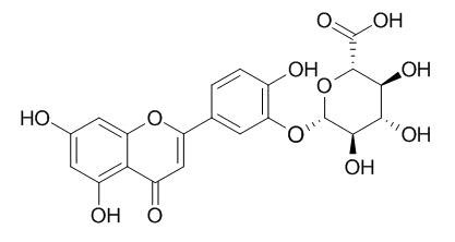 Luteolin-3'-D-glucuronide