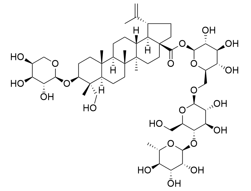 Pulchinenoside B