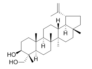 Lup-20(29)-ene-3β,23-diol