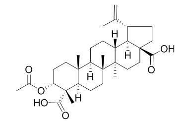 3alpha-Acetoxy-20(29)-
lupene-23,28-dioic acid