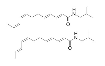 Dodeca 2E,4E,8Z,10E,Z-
tetraenoic acid isobutylamide